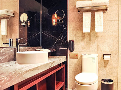 拉薩澤当飯店(ポタラ宮店) 拉薩澤当飯店(ポタラ宮店)