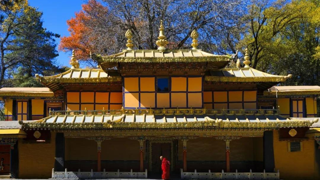 チベットラサ ノルブリンカ(羅布林卞)