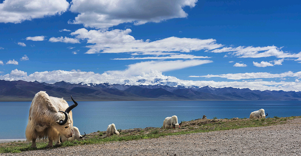 チベット ヤムドォク湖（羊卓雍措）